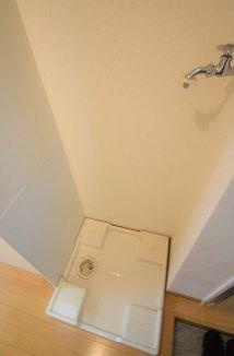 プリムローズのその他