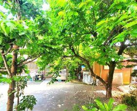 川崎市多摩区登戸のアパートの展望