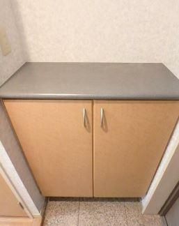 川崎市多摩区中野島５丁目の賃貸マンションの玄関