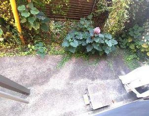 川崎市多摩区菅４丁目のアパートのバルコニー