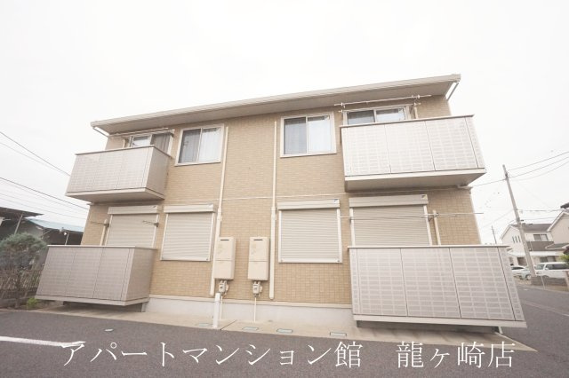 Cerejeira（セレシェイラ） B