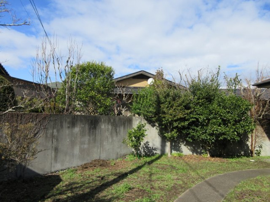 【庭】 | 伊東市富戸　戸建