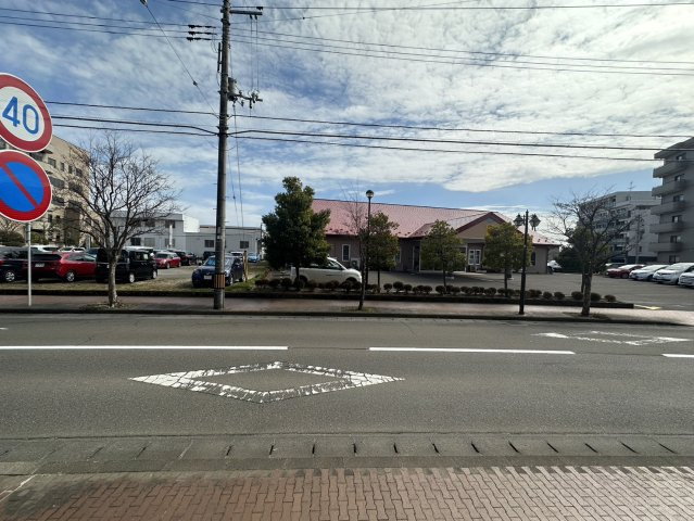 セザール富沢の展望