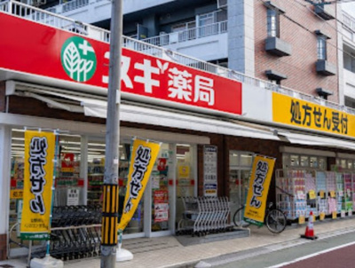 【周辺】 | 上石神井ガーデンハウス　13703 | スギ薬局 上石神井店まで691ｍ