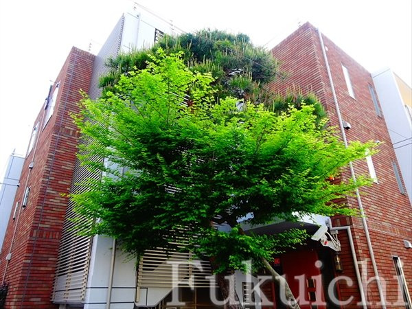 MAJESTY学芸大学の外観