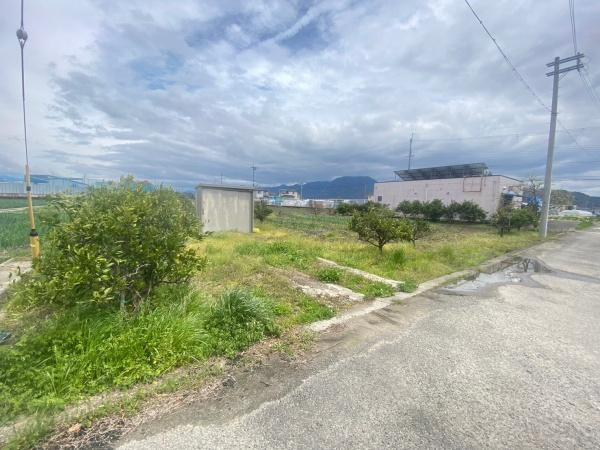 紀の川市尾崎　土地の前面道路含む現地写真