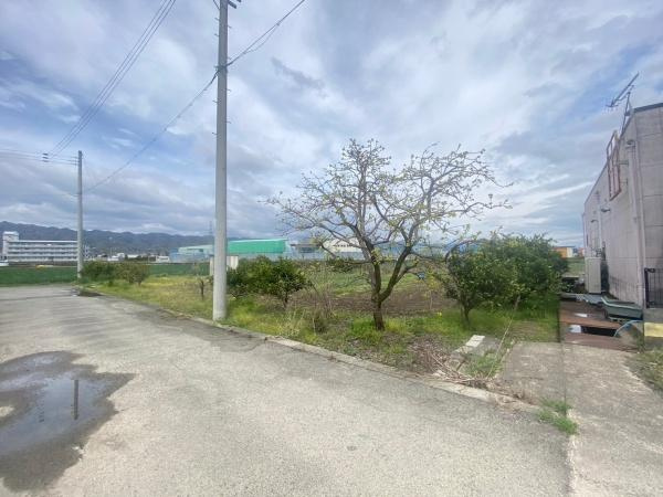 紀の川市尾崎　土地の前面道路含む現地写真