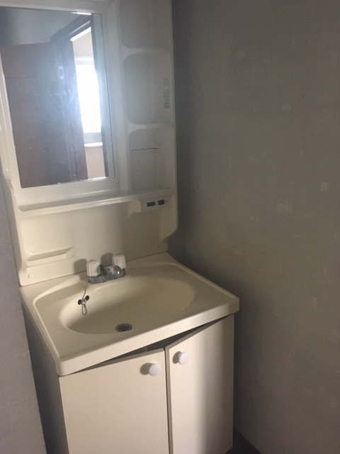 コーポアネックスの洗面所