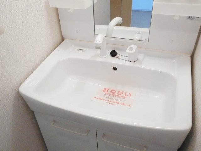 メゾン・ロザージュの洗面所