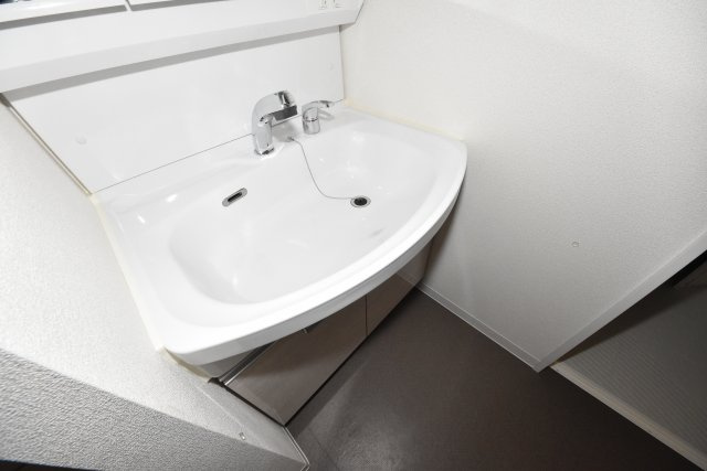 プレサンス難波インフィニティの洗面所|参考写真