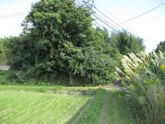 宮野上　売土地①の外観