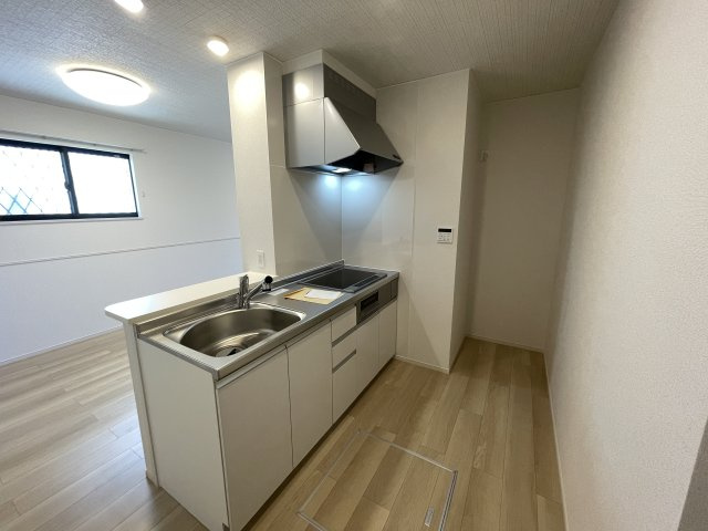 アヴェニールイグチⅧのキッチン|システムキッチン