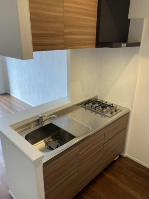 【キッチン】 | LANDIC PREMIUM O115 | 別号室の写真になります。現況優先。