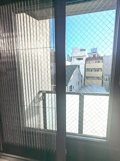 Due IriyaⅡの設備|網戸は室内です