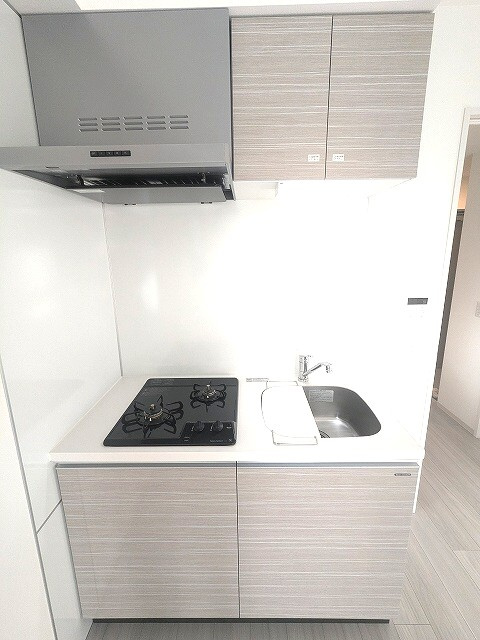 Due IriyaⅡのキッチン