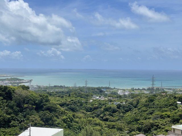 パークナードライカムシティの展望