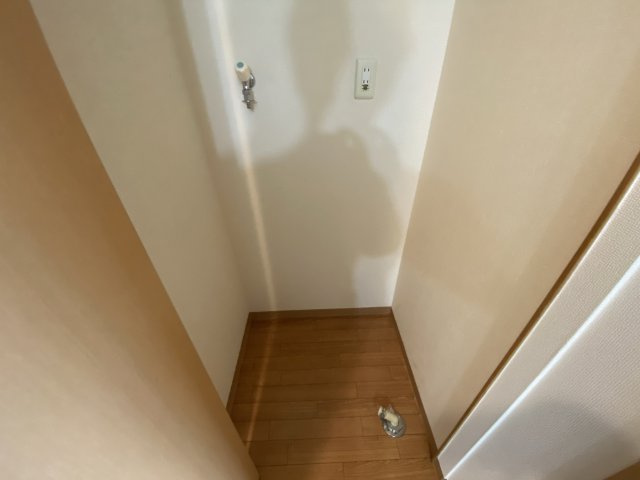 エステリオKのその他