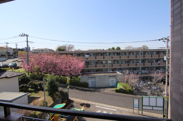 日吉レジデンスの展望