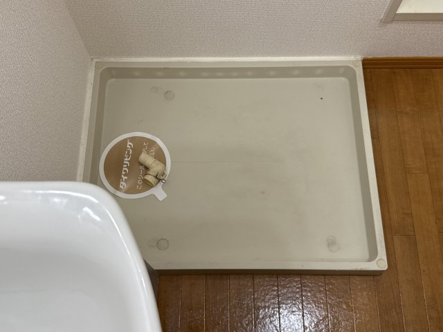 ホワイトへロンのその他