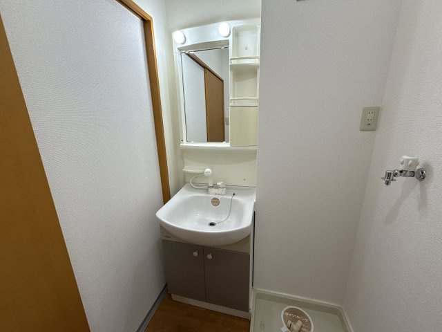 ホワイトへロンの洗面所