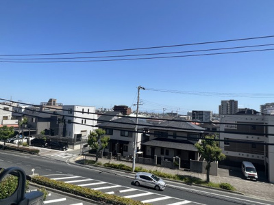 【展望】 | サンセべリア夏原