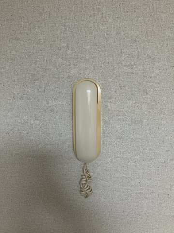 ＩＲＩＳＡのセキュリティ