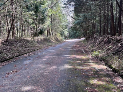 【周辺】 | 多可町中区高岸　山林
