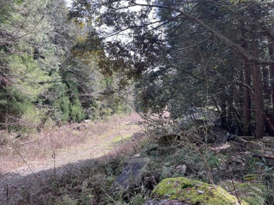 【周辺】 | 多可町中区高岸　山林