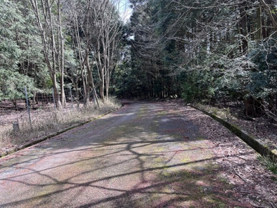 【その他】 | 多可町中区高岸　山林