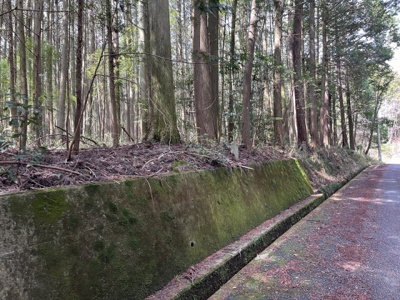 【外観】 | 多可町中区高岸　山林