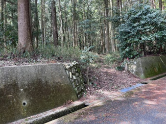 【周辺】 | 多可町中区高岸　山林