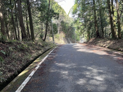 【周辺】 | 多可町中区高岸　山林