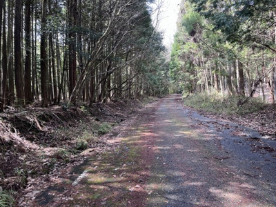 【周辺】 | 多可町中区高岸　山林