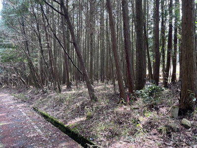 【その他】 | 多可町中区高岸　山林