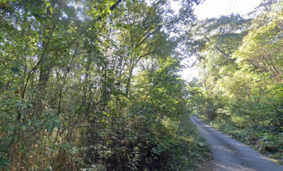 【周辺】 | 岡山県津山市福田　山林