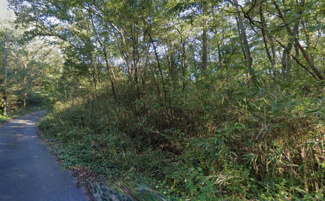 【周辺】 | 岡山県津山市福田　山林
