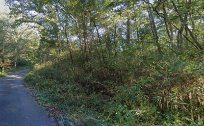 【周辺】 | 岡山県津山市福田　山林