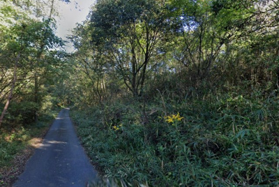 【周辺】 | 岡山県津山市福田　山林