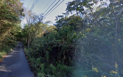 【周辺】 | 岡山県津山市福田　山林