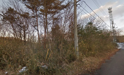 【周辺】 | 岡山県津山市福田　山林