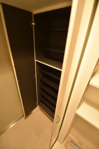 大阪市城東区中央３丁目の賃貸マンションの玄関