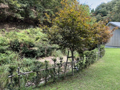 【庭】 | 丹波篠山市大藤　戸建て