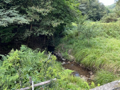 【その他】 | 丹波篠山市大藤　戸建て