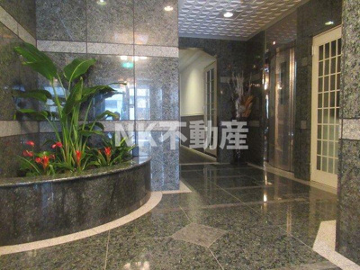 【エントランス】 | リバーライズ永和（河内永和賃貸） | エントランスです