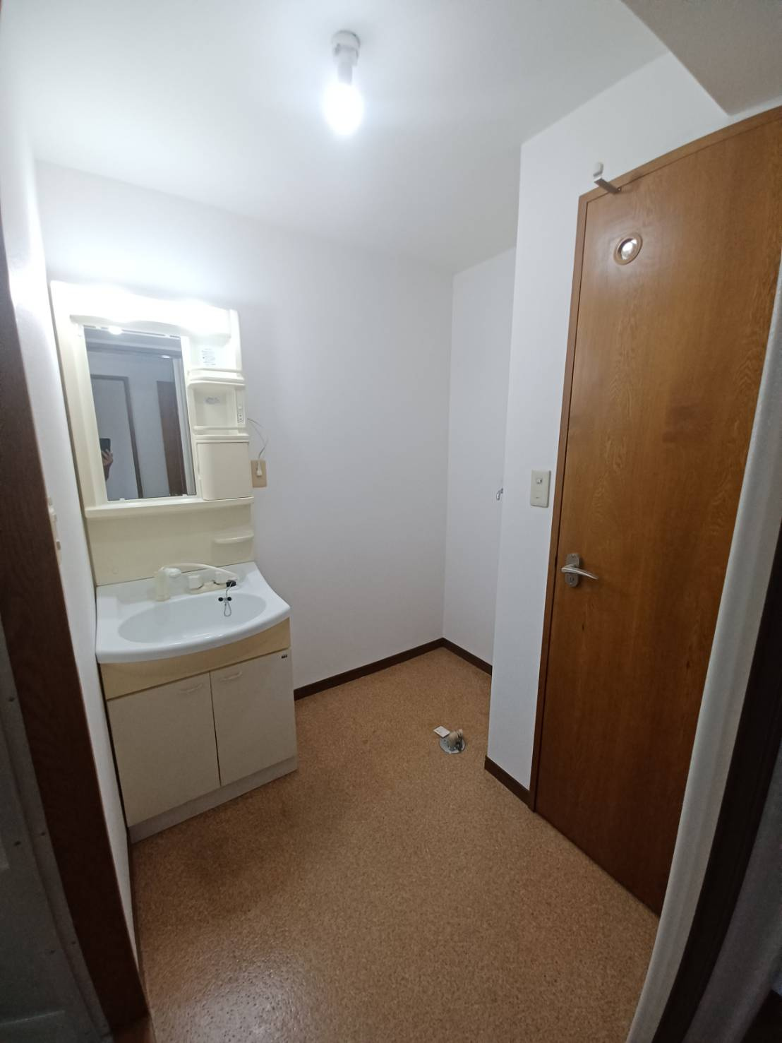 ベル･メゾン蔦の洗面所