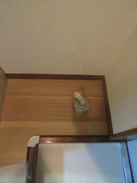 洗面所