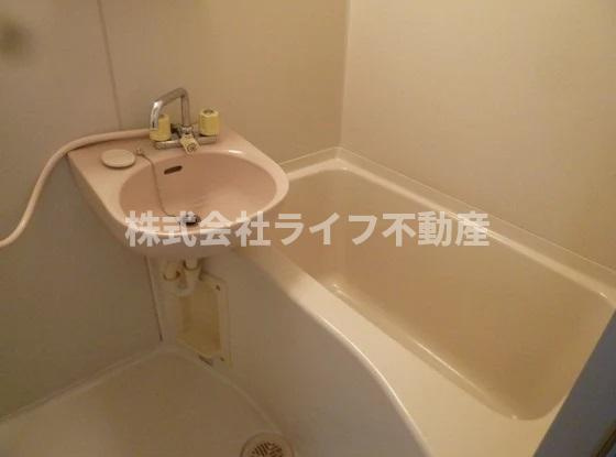 エステートピアナカタB棟の洗面所|明るい洗面所です