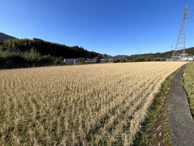 【外観】 | 市ノ瀬貸地