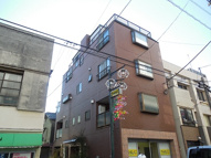 アンフィニアキの画像