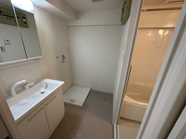 藤和シティコープ平和が丘の脱衣所